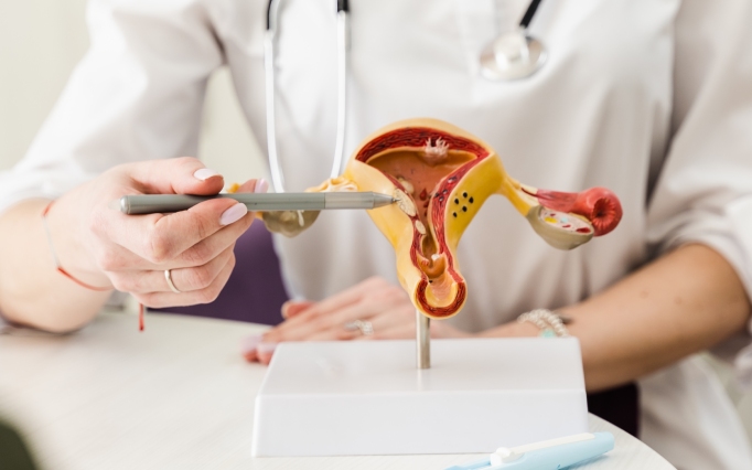 Certificate in Aesthetic Gynecology (CAG)