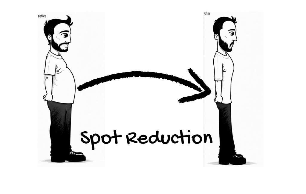 belly fat reduction myths